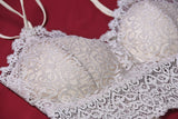 ELEGANT NET BRA 10 TO 16 YEARS (BDS) - COLOR