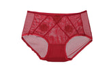 DESIRABLE FULL NET PANTY - COLOR